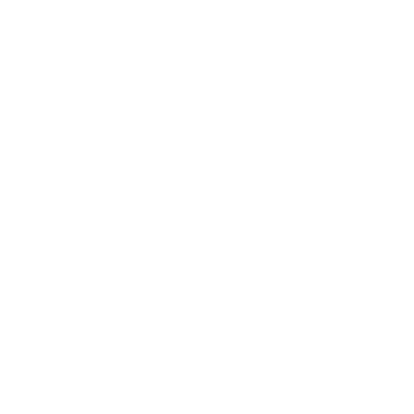 Airo Home Lifts
